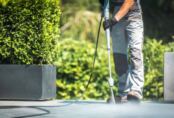 Best Fence Cleaning and Maintenance in Keshena, WI