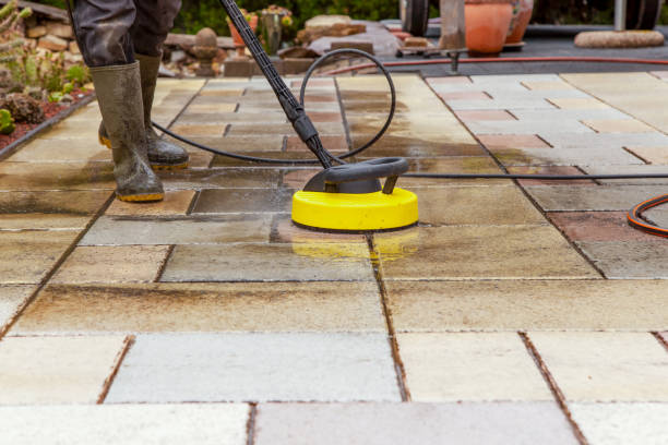 Best Roof Cleaning and Mildew Removal in Keshena, WI